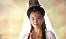 菩萨女星爆料视频大全集,揭秘娱乐圈幕后真相