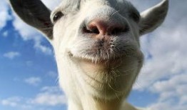 热点爆料羊崽视频,揭开农场养殖黑幕