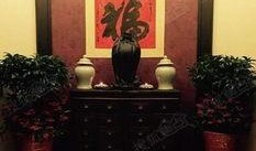 金星爆料豪宅视频下载